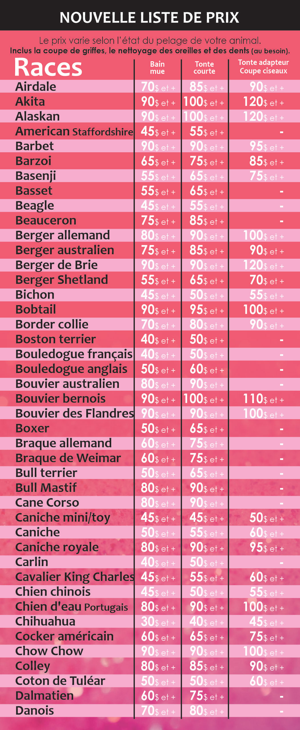 Toilettage Pour Chats Beaute Royale Trois Rivieres 819 228 9121