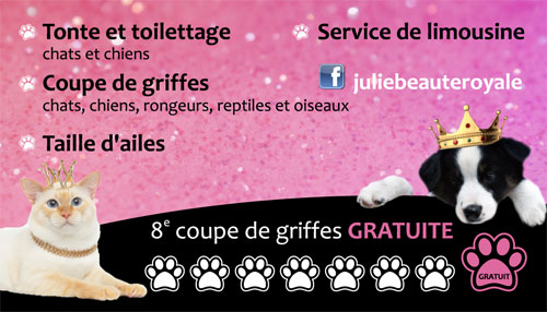 Toilettage Beaute Royale Services Trois Rivieres 819 228 9121